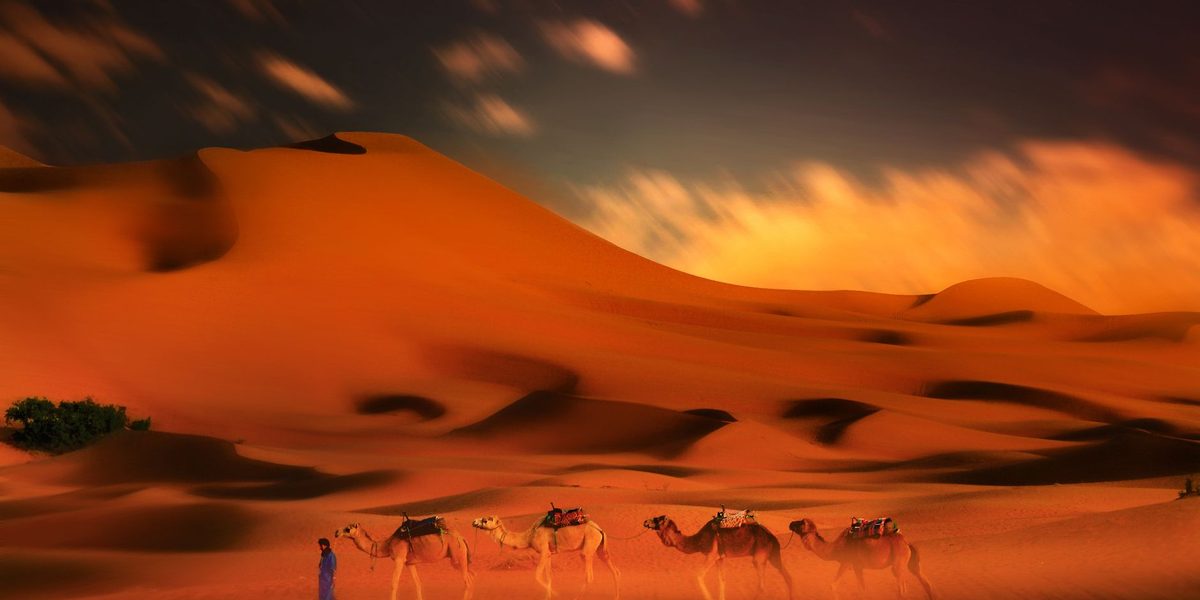 Understanding Desert Destinations: Climate, Culture, and Preparation