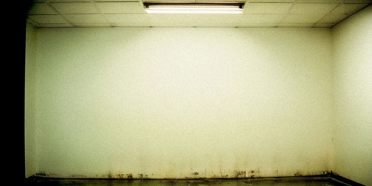 Why Basements Get Damp: Understanding Moisture Below Grade