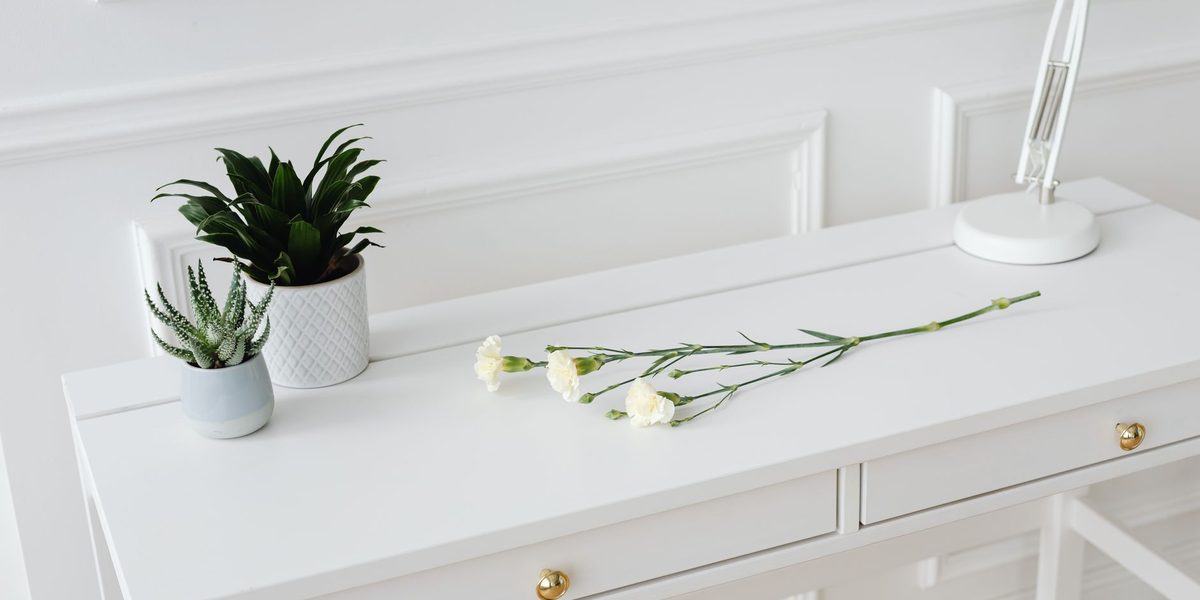 Essentialism Explained: The Discipline of Doing Less, Better